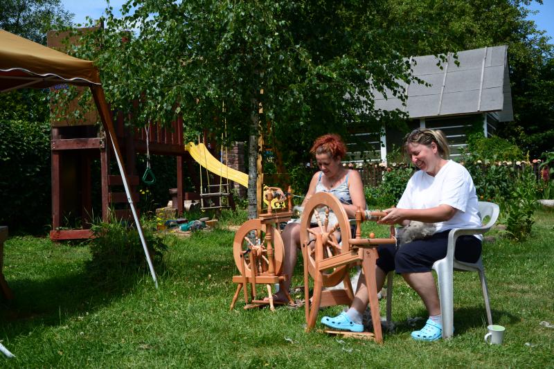 Barvení ovčí vlny přírodními surovinami a předení